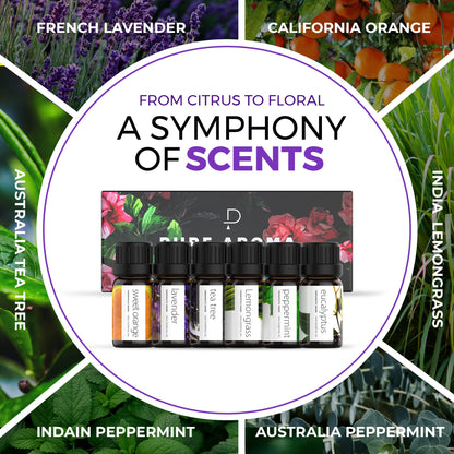 Essential 6 Pack Oil Drops